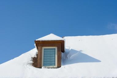 Chien assis sous la neige