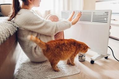 Radiateur électrique