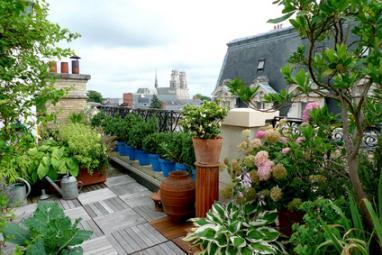 Toit terrasse avec plantes
